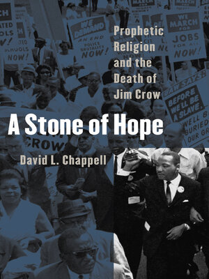 cover image of A Stone of Hope